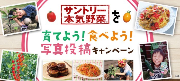 毎月抽選 サーモマグが当たる写真投稿キャンペーン 懸賞で生活する懸賞主婦