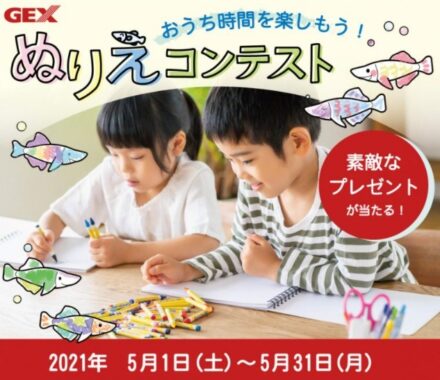 ５月５日はこどもの日 おうち時間を楽しもう！ ぬりえコンテスト2021 開催 熱帯魚 観賞魚 アクアリウム用品 ジェックス株式会社