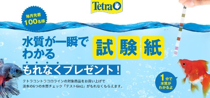 Tetra｜淡水の6つの水質チェック「テスト6in1」プレゼントキャンペーン