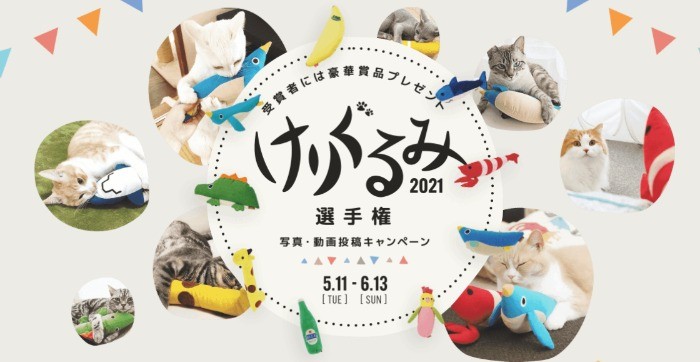 「猫」と「けりぐるみ」のある生活を投稿するペティオのコンテスト☆