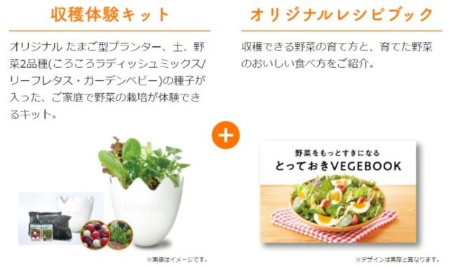 おうちで野菜をつくろう　収穫体験キット＆オリジナルレシピブックプレゼントキャンペーン | キユーピー