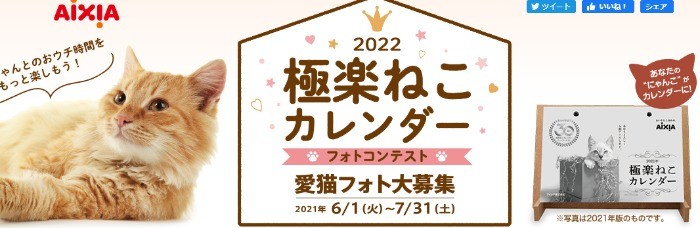 極楽ねこカレンダーフォトコンテスト2022 | AIXIA