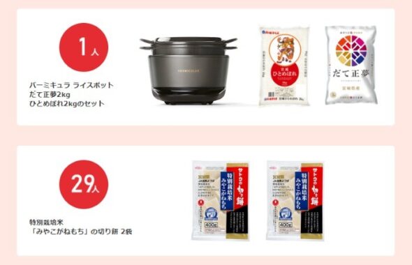 バーミキュラ ライスポット＆お米セット ほか