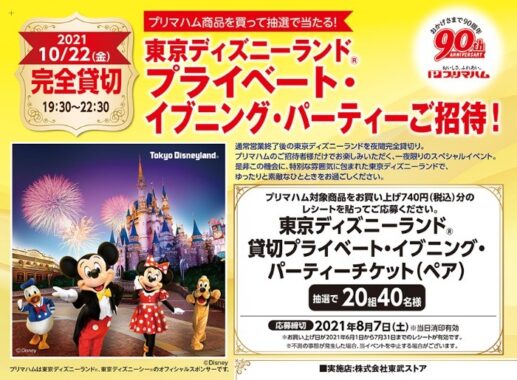 東京ディズニーランド 貸切プライベート・イブニング・パーティーチケット（ペア）