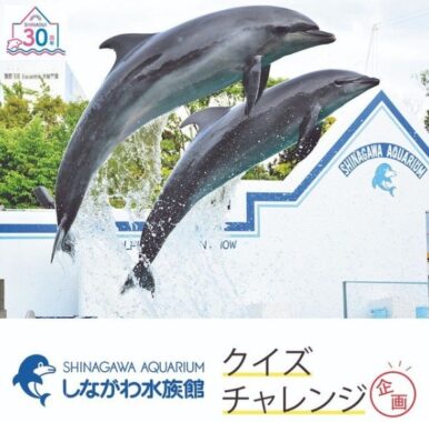 しながわ水族館のペアチケットが当たるinstagramクイズキャンペーン 懸賞で生活する懸賞主婦