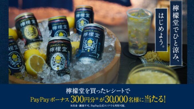 PayPayボーナス300円分