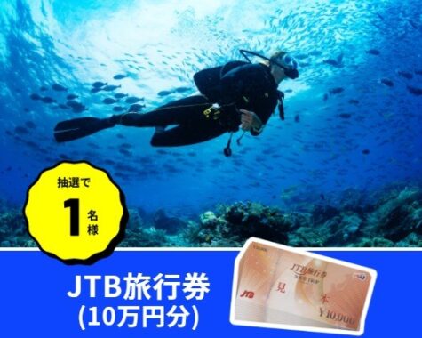 JTB旅行券 10万円分 / 岡山県産シャインマスカット 5～6房 ほか