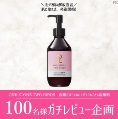 「ONE STONE TWO BIRDS　洗顔だけじゃない+パックもできる洗顔料」のガチレビューをしてくれる人募集！