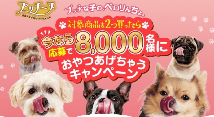 プッチーヌ！おやつあげちゃうキャンペーン実施中！グルメな小型犬に！