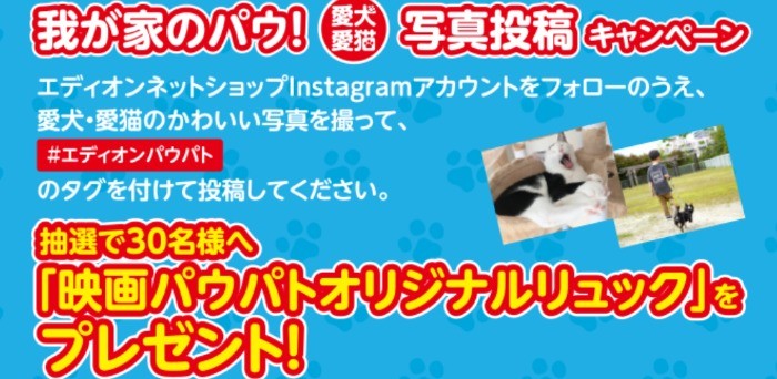 我が家のパウ！愛犬愛猫写真投稿キャンペーン