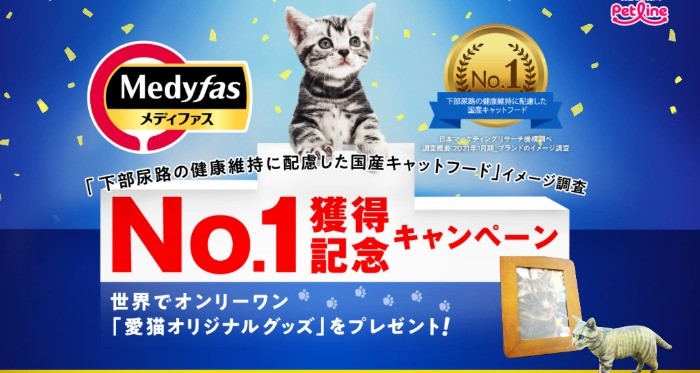 世界でオンリーワンの愛猫オリジナルグッズが当たるレシート懸賞 懸賞で生活する懸賞主婦