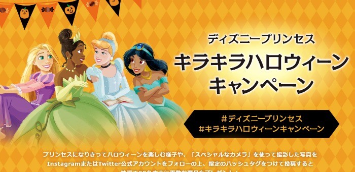 ディズニープリンセスグッズが当たるsns投稿キャンペーン 懸賞で生活する懸賞主婦