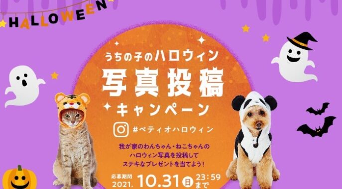 うちの子のハロウィン写真投稿キャンペーン | Petio[ペティオ]