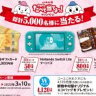 JCBギフトカード30,000円分 / Nintendo Switch Lite 他