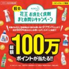 【イオン×花王】秋の花王お洗たく洗剤まとめ買いキャンペーン