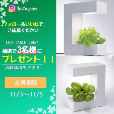 土を使わず部屋で育てられる「水耕栽培キット」が当たるInstagram懸賞☆