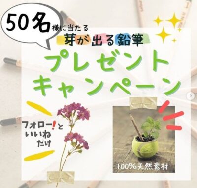 テレビでも紹介された「芽が出る鉛筆」が50名様に当たるサステナブル懸賞♪