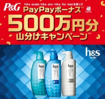 PayPayボーナス 500万円分山分けキャンペーン