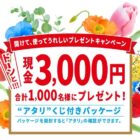 現金 3,000円