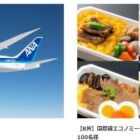 ANA国内線普通席往復航空券ペア 他