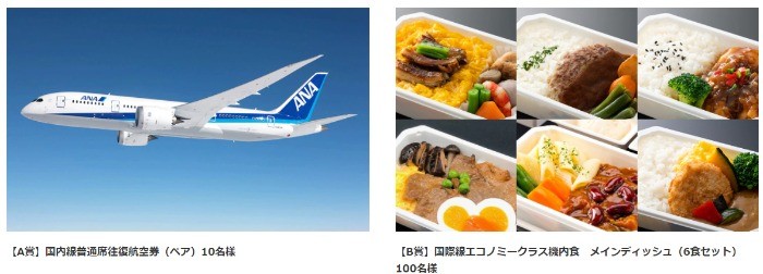 国内線オンラインチェックイン モニターキャンペーン | ご予約/旅の計画 | 航空券予約・空席照会 | ANA