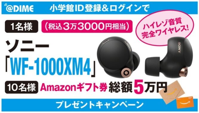 SONY ワイヤレスイヤホン / Amazonギフト券 5,000円分