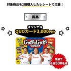 QUOカード 3,000円分