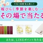 対象の綾鷹 桜デザインボトル購入で桜ひらく季節を楽しむ一品その場で当たる！キャンペーン｜綾鷹（あやたか）