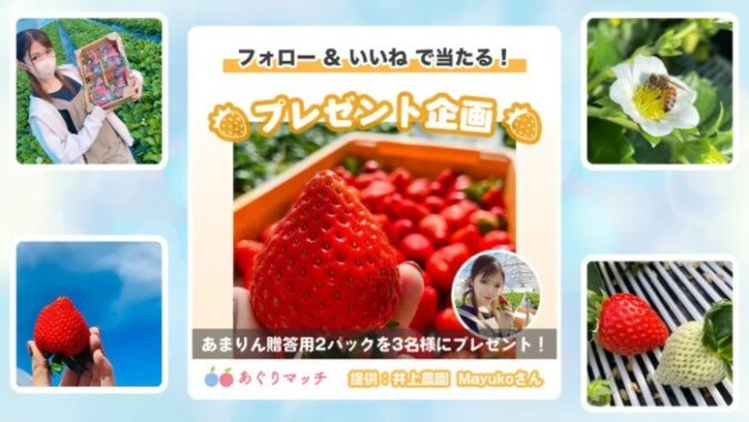 あまりん（イチゴ）贈答用 2パック