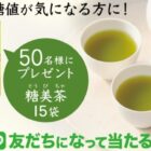 糖美茶15袋 ＼50名様にプレゼント／「森の頂きマルシェ」LINE友だち追加で当たる♪ / ブルックス・ファンサイト