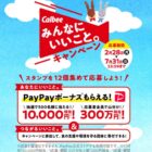 PayPayボーナス 1万円相当 他