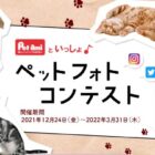 可愛いペットの写真を投稿するコメリのペットフォトコンテスト♪