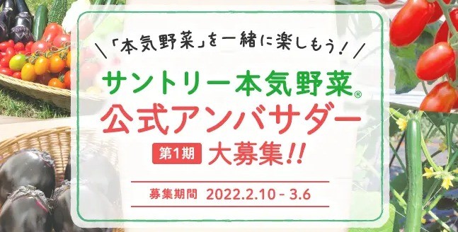 野菜苗ブランド「サントリー本気野菜」が公式アンバサダーを大募集！｜ Pacoma パコマ ｜ 暮らしの冒険Webマガジン