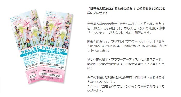 73 以上節約 世界らん展22 チケット2枚セット その他