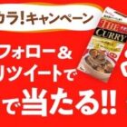 ハウスカレー詰め合わせ