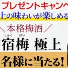 本格梅酒「鴬宿梅 極上」