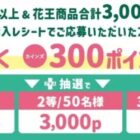 花王×カインズジャンボキャンペーン