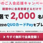 QUOカードPay 1,000円分