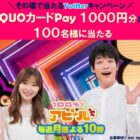 QUOカードPay 1,000円分