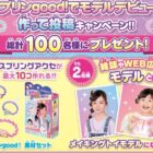 スプリンgood！素材セット /メイキングトイモデル権利