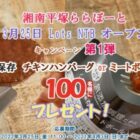 チキンハンバーグ or ミートボール