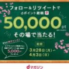 dポイント 1,000pt