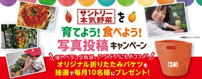 サントリー本気野菜を育てよう！食べよう！写真投稿キャンペーン｜みんなのサントリーフラワーズ