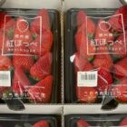 長野県の「おいしい」商品が当たるJA長野の定期懸賞☆