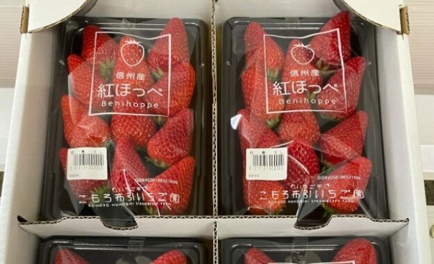 長野県の「おいしい」商品が当たるJA長野の定期懸賞☆