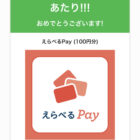 HuluのLINE懸賞で「えらべるPay100円分」が当選しました☆