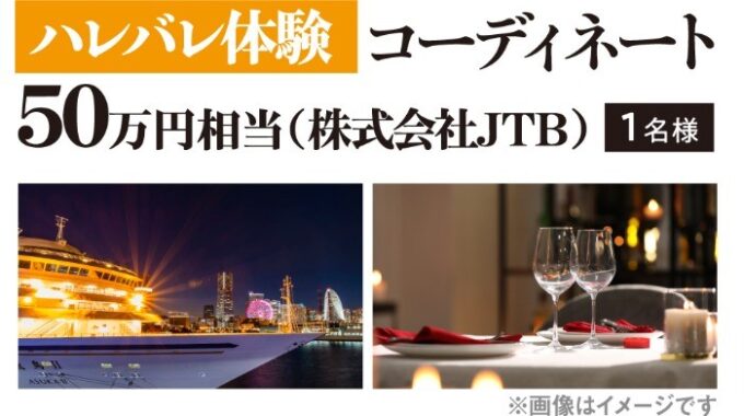 コーディネート50万円相当 他