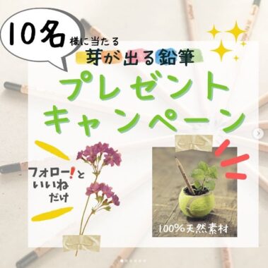 植物に生まれ変わるサステナブル鉛筆が当たるInstagram懸賞♪