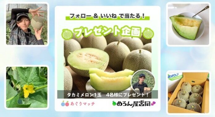 千葉産タカミメロン