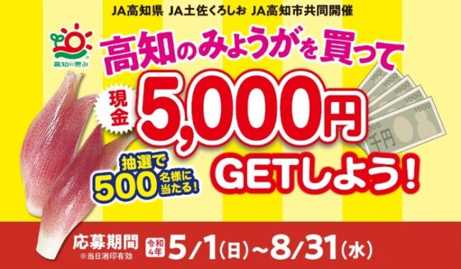 みょうが現金5000円キャンペーン｜JA高知県 JA土佐くろしお JA高知市共同開催